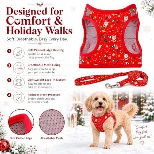 Step in Christmas Xmas Day Dog Harness Leash Set- All Weather Reflective - Image 4