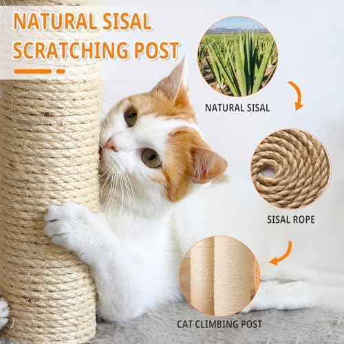 SHODMI Modern Cat Tree for Large Indoor Cats 61 in Rubber Wood Cat Tower - Image 2