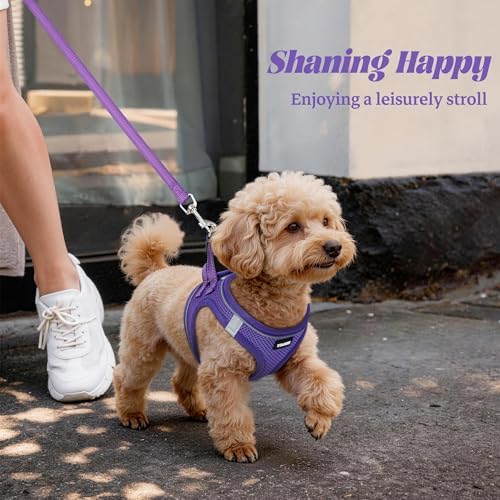 No Pull Dog Puppy Harness and Leash Set Reflective Mesh Vest Medium - Image 6
