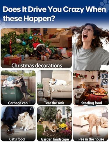 MIMOFPET Wireless Pet Barrier - Image 2
