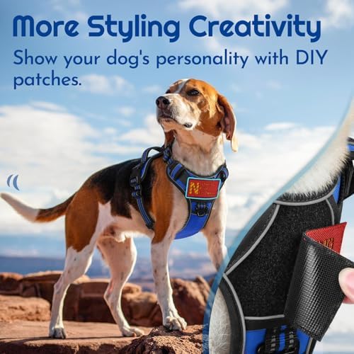 Eagloo Dog Harness No Pull for Large Dogs, Easy On & Off - Image 4