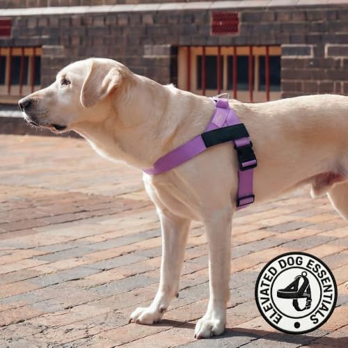 Dog Friendly Co. Dog Harness for Small Dogs - Image 5