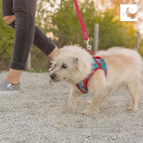 RC Pets Step in Cirque Harness L Mulberry - Image 7