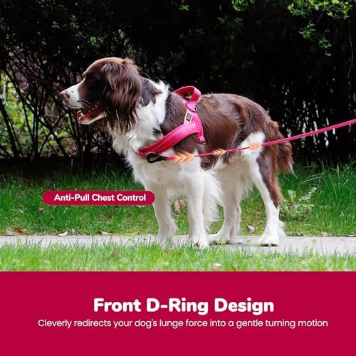 Didog No Pull Dog Harness for Small Dogs, Breathable Mesh, Hot Pink - Image 5