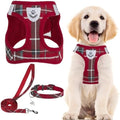 PUPTECK Dog Harness, Collar and Leash Set No Pull by PUPTECK