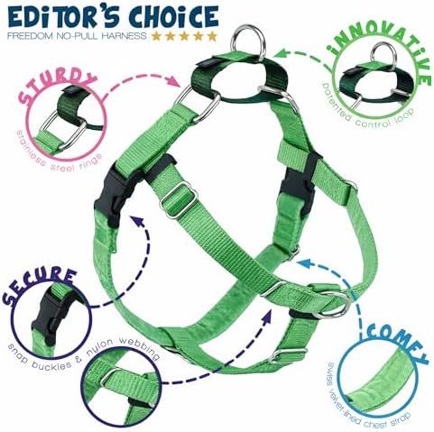 2 Hounds Design Freedom No Pull Dog Harness, 1 inch XL, Neon Green - Image 4