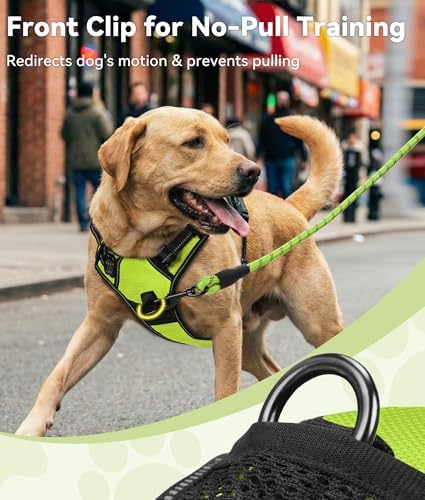 Joytale No Pull Dog Harness for Extra Large Dogs, Front Clip - Image 2