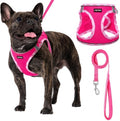 AMTOR Small Dog Harness with Leash Set, No Escape Easy Walk Puppy Harnesses by AMTOR