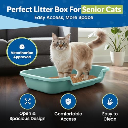KittyGoHere Senior Cat Litter Box Large - Image 2