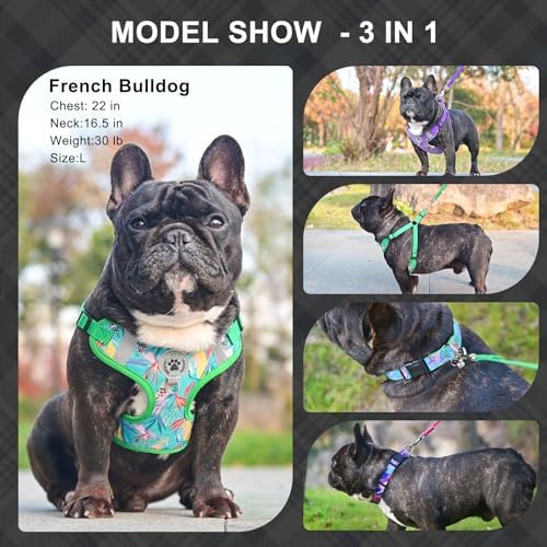 BEAUTYZOO Dog Harness Collar and Leash Set, No-Pull Step in Dog Harness - Image 2