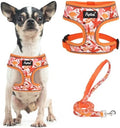 PUPTECK Fall Dog Harness and Leash Set No Pull Small Sized Dogs Puppy by PUPTECK