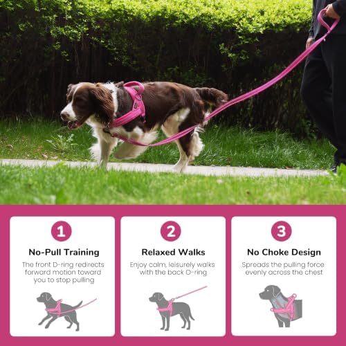 Didog No Pull Dog Harness for Medium Dogs, Soft Flannel Padded, Hot Pink - Image 4