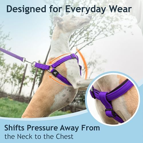 Kruz No Pull Dog Harness Heavy-Duty Pet Harness - Image 6