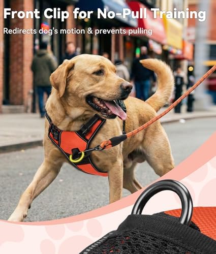 Joytale No Pull Dog Harness for Small Dogs, Front Clip - Image 2