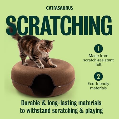 Cattasaurus Peekaboo Cat Cave Donut - Image 6