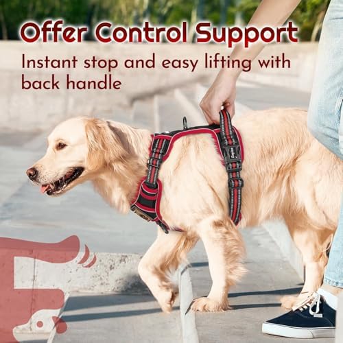 Eagloo Dog Harness No Pull for Small Dogs, Easy On & Off - Image 5