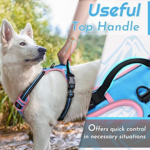 Eagloo Dog Harness for Small Dogs, No Pull Pet Vest - Image 5