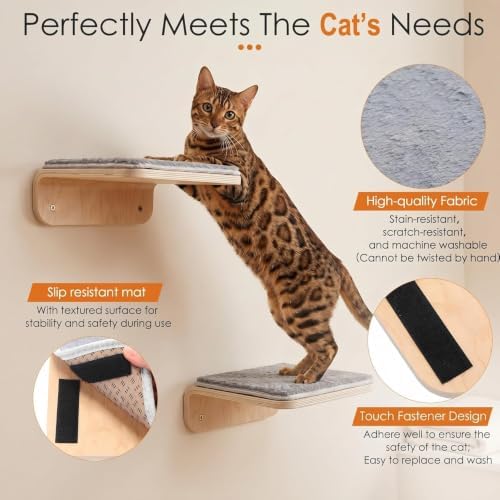 Wenqik 2 Pcs Cat Steps for Wall, Wooden Cat Climbing Shelf 10 x 10 x 4 Inch - Image 4