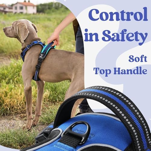rabbitgoo Dog Harness Small Sized, Updated Easy On & Off - Image 5