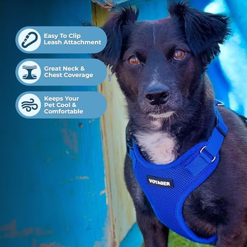 Voyager Step-in Lock Dog Harness - Image 3