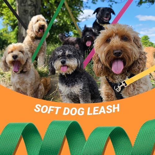 24 Pack Bulk Dog Leashes, 6FT Pet Lead Leash - Image 5