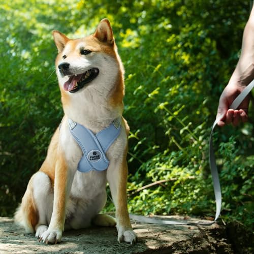 Patas Lague Dog Harness Small Sized Dog Pet Vest - Image 2