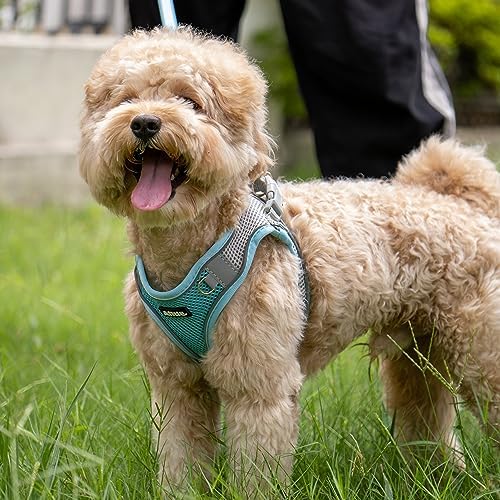 AIITLE Medium Dog Harness and Leash Set, Step-in Puppy Pet Vest - Image 6