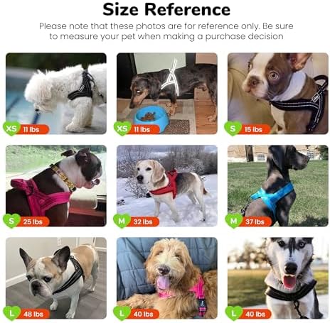Didog No Pull Dog Harness for Small Dogs, Soft Flannel Padded - Image 5