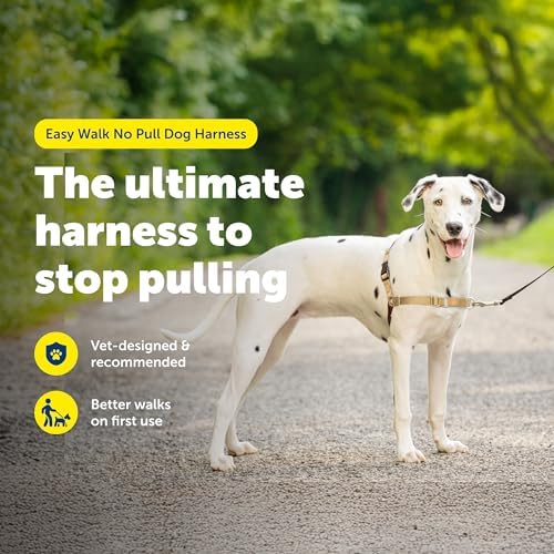 PetSafe Easy Walk Harness, No Pull Dog Harness - Image 2