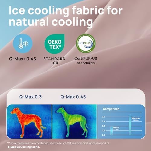 Cooling Dog Bed for Small, Medium Dogs & Cats - Image 3