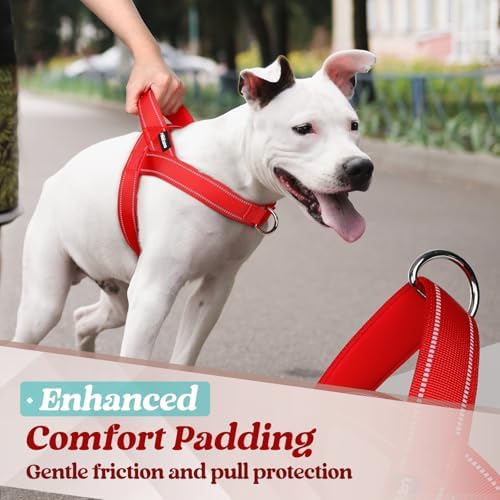 rabbitgoo Dog Harness No Pull, Quick Fit - Image 6