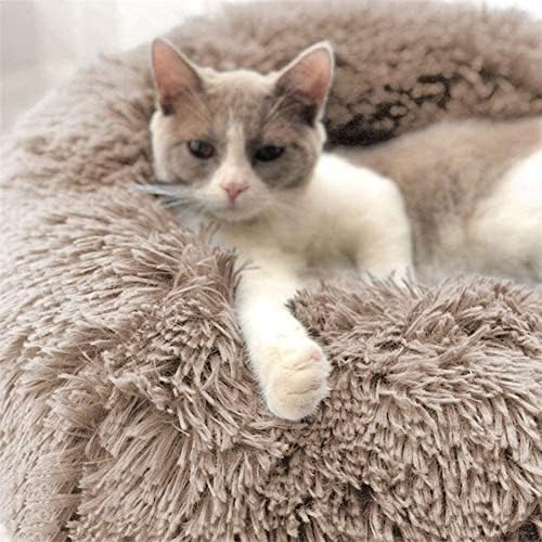 Cat Beds for Indoor Cats - Image 7