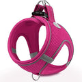 Joytale Step-in Dog Harness, Soft Breathable Mesh, Hot Pink M by Joytale