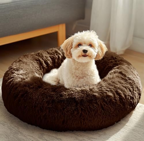 JOLLYVOGUE Dog & Cat Bed, Calming Anti-Anxiety Pet Bed by JOLLYVOGUE