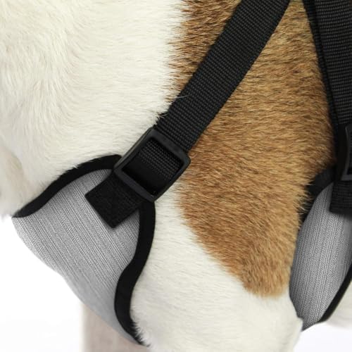 AKC Premium Padded Step-in Dog Harness – Soft Comfort Fit - Image 3