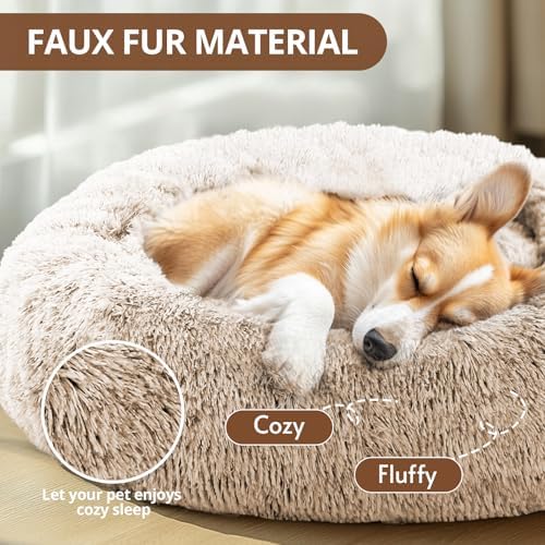 JOLLYVOGUE Calming Dog Bed for Small Dogs - Image 2
