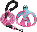 haapaw Dog Harness with Leash Set, No Pull Adjustable Reflective Step-in Puppy by haapaw
