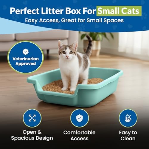 KittyGoHere Senior Cat Litter Box, Small Pan, 2 Pack Apple Green - Image 2
