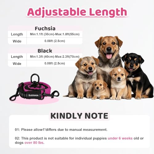 Double Dog Leash - Image 2