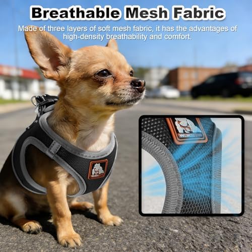 Dog Harness Medium Sized Dogs, Puppy Harness and Leash Set - Image 4