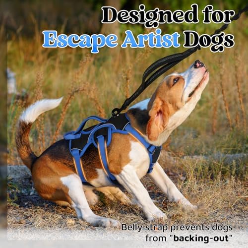 rabbitgoo Escape Proof Dog Harness - Image 4