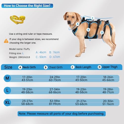 Dog Lift Harness for Large Male Dogs, 2-in-1 Detachable Support Harness - Image 5