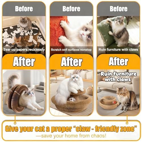 Cat Scratcher Toys for Indoor Cats - Image 3