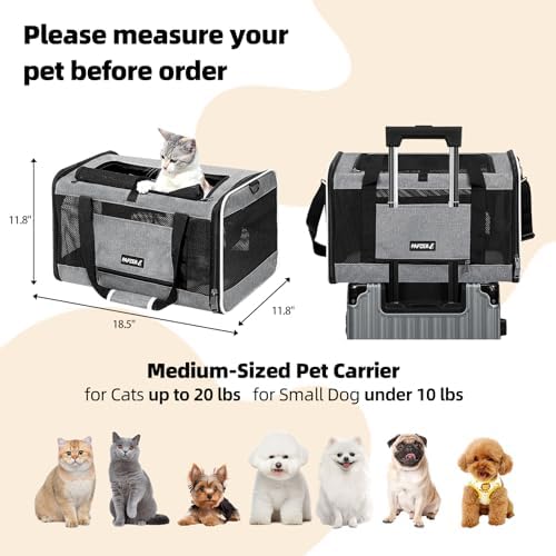 Cat Carrier Soft-Sided Travel Bag - Image 2