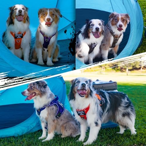 rabbitgoo Tactical Dog Harness for Small, No Pull Military Service Vest - Image 3