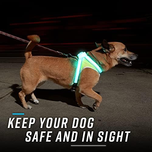 noxgear LightHound Light Up Reflective Dog Harness - Image 2