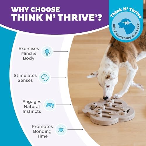 Outward Hound by Nina Ottosson Dog Hide N' Slide Treat Puzzle Enrichment Toy - Image 6
