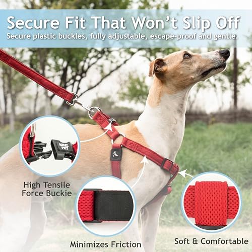 No Pull Dog Harness Medium Size Dog | Adjustable Heavy Duty Pet Harness - Image 2
