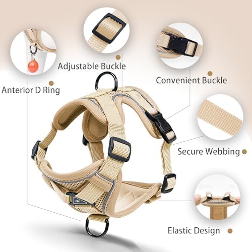Dog Harness Small Sized Dog Pet Vest - Image 3