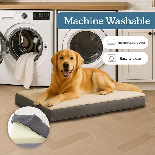 Orthopedic Dog Bed - Image 3